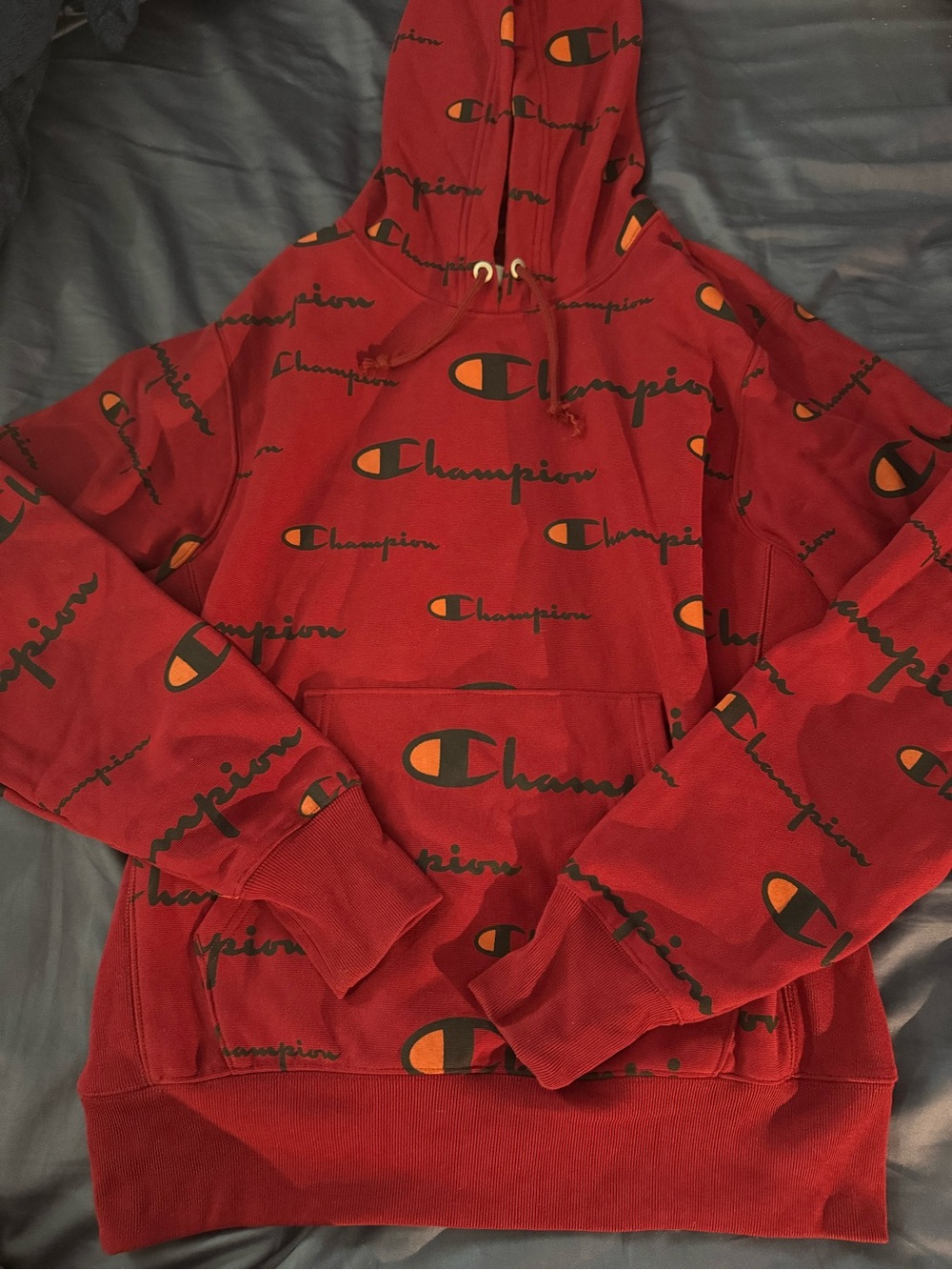 Champion Heavyweight Hoodie